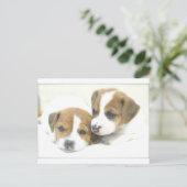 Angel Puppies Postkarte (Stehend Vorderseite)