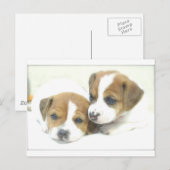 Angel Puppies Postkarte (Vorne/Hinten)
