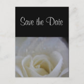 Angel Rose Save the Date Hochzeitsankündigung Ankündigungspostkarte (Vorderseite)