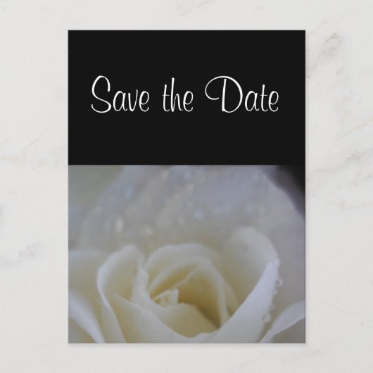 Angel Rose Save the Date Hochzeitsankündigung Ankündigungspostkarte (Vorderseite)