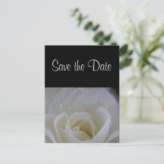 Angel Rose Save the Date Hochzeitsankündigung Ankündigungspostkarte (Stehend Vorderseite)