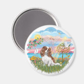 Angel Star - Blenheim Cavalier Magnet (Vorderseite/Rückseite)