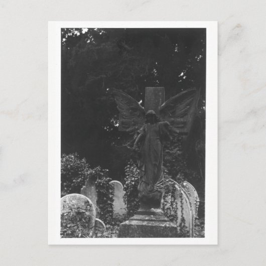Angel Statue Alter Friedhof Postkarte (Vorderseite)