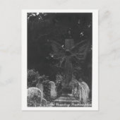 Angel Statue Alter Friedhof Postkartentext Postkarte (Vorderseite)