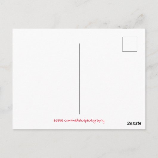 Angel Statue Postkarte (Rückseite)