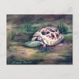 Angel Tortoise Postcard Postkarte