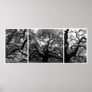 Angel Tree Collage Poster