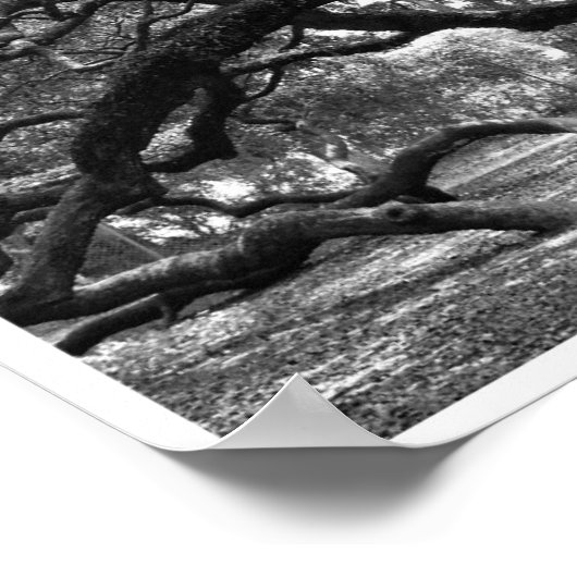 Angel Tree Collage Poster (Ecke)