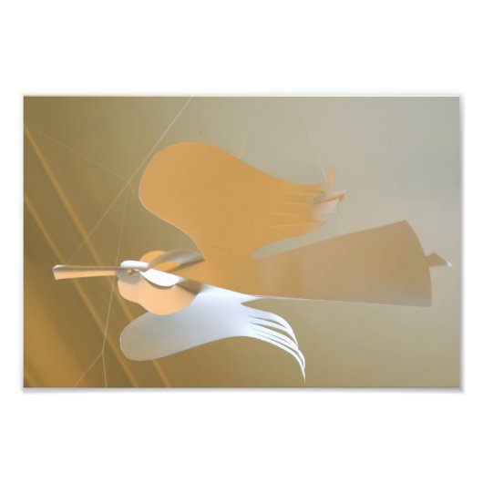 Angel-Trompeten Fotodruck (Vorne)