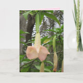 Angel Trumpet floral Greeting Card Karte (Vorderseite)