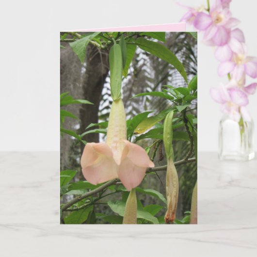 Angel Trumpet floral Greeting Card Karte (Orchidee)