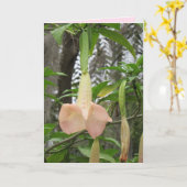 Angel Trumpet floral Greeting Card Karte (Gelbe Blume)
