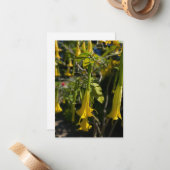 Angel Trumpet Mitteilungskarte (Vorderseite/Rückseite Beispiel)