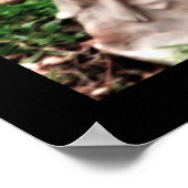 Angel und Stille Gebetposter Poster (Ecke)