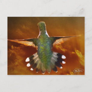 Angel Wing Series Postkarte