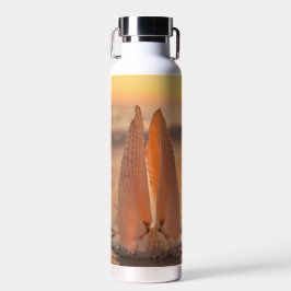 Angel Wing Shells Thermal Tumbler Trinkflasche