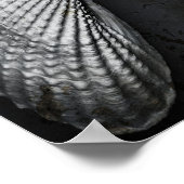 Angel Wings BW Poster (Ecke)