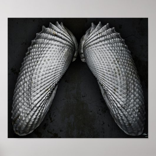 Angel Wings BW Poster (Vorne)