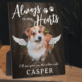 Angel Wings Foto Fotoplatte