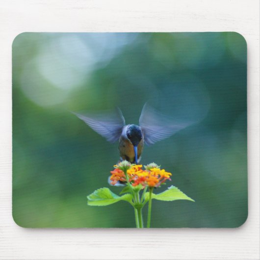 Angel Wings Humming Mousepad (Vorne)