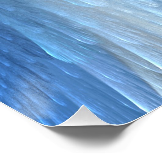 Angel Wings Poster (Ecke)