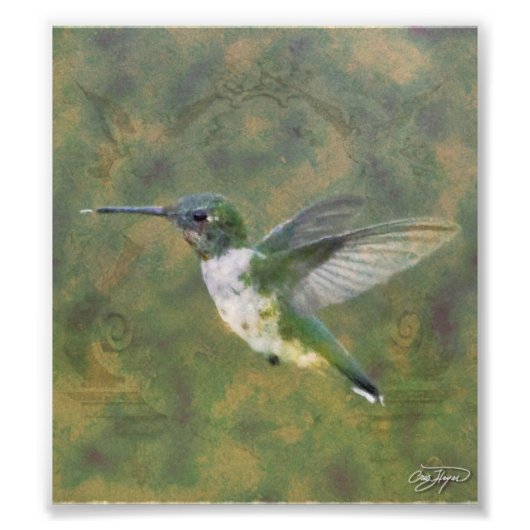 Angel Wings Series Fotodruck (Vorne)