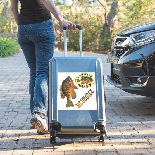 Angelangler Aufkleber (Koffer Insitu)