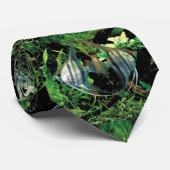 Angelfisch 2 krawatte (Gerollt)