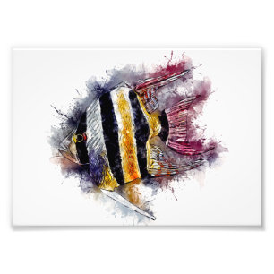 AngelFisch Aquarium Meer Kunstwerk Fotodruck