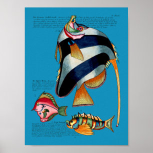 Angelfisch auf beliebigem Hintergrund Poster