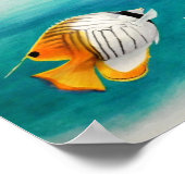 Angelfisch Poster (Ecke)