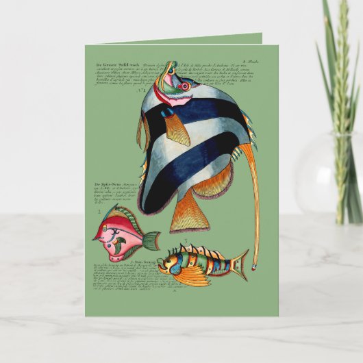 Angelfisch und Freunde Feiertagskarte (Vorderseite)