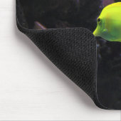 Angelfische, Fische, Meer Mousepad (Ecke)