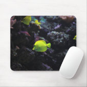 Angelfische, Fische, Meer Mousepad (Mit Mouse)