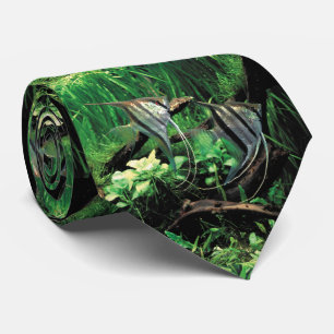 ANGELFISH ネ タ イ KRAWATTE