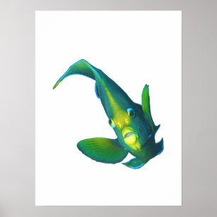 Angelfish - Abstraktes Design - Aus einem Foto sch Poster
