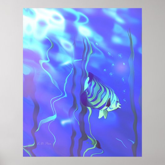 Angelfish Blues Poster (Vorne)