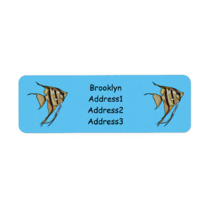 Angelfish Cartoon Illustration