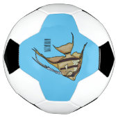 Angelfish Cartoon Illustration Fußball (Gedreht)