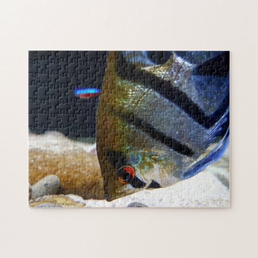 Angelfish Fish Keepers Süßwasser Aquarium Puzzle (Horizontal)