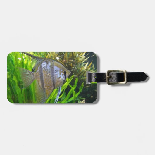 Angelfish Gepäckanhänger (Vorderseite horizontal)