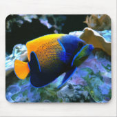 Angelfish mousepad (Vorne)