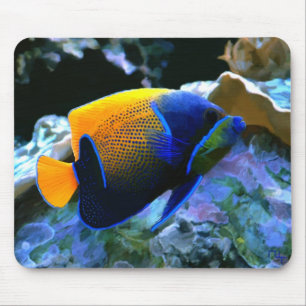Angelfish mousepad