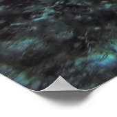 Angelfish Pair Poster (Ecke)