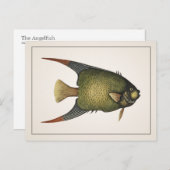 Angelfish Postcard - Stil I Postkarte (Vorne/Hinten)