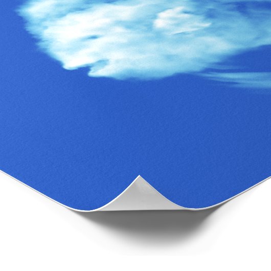 Angelfish Poster (Ecke)