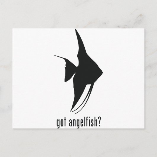 Angelfish Postkarte (Vorderseite)