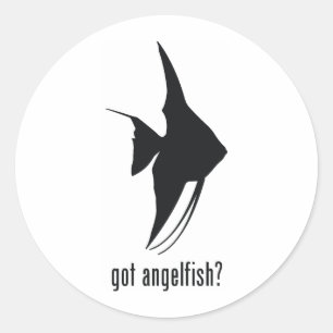Angelfish Runder Aufkleber