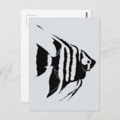 Angelfish. Schwarz und Weiß. Monochrom Postkarte (Vorne/Hinten)
