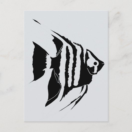 Angelfish. Schwarz und Weiß. Monochrom Postkarte (Vorderseite)